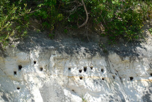 Peppino S. Earthman photography